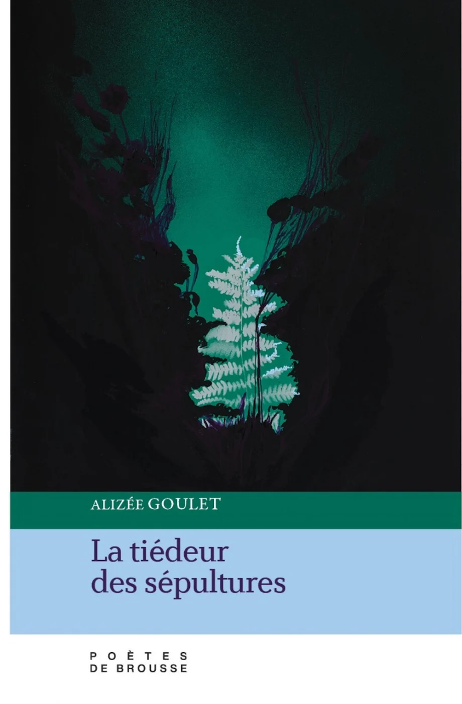 Couverture du livre La tièdeur des sépultures