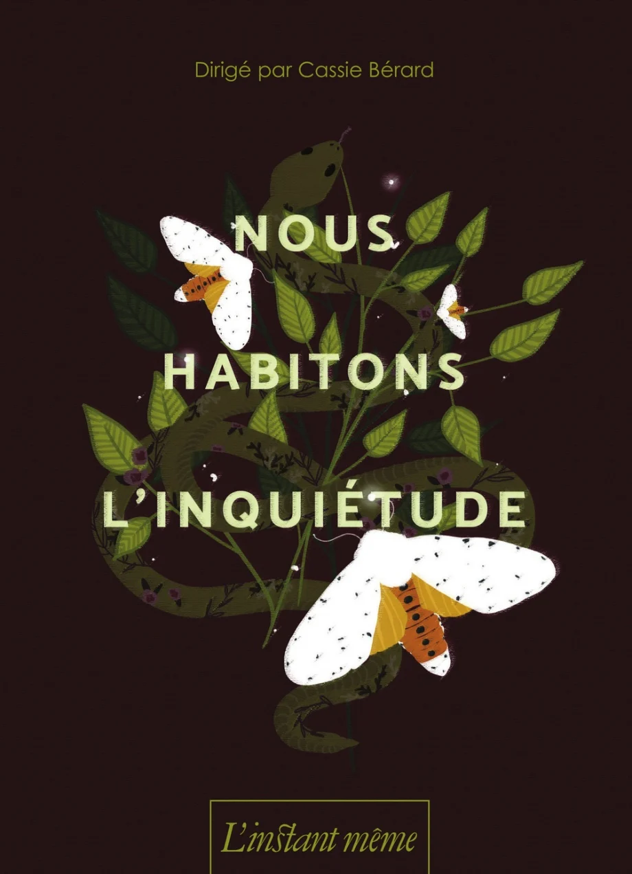 Couverture du livre Nous habitons l'inquiétude